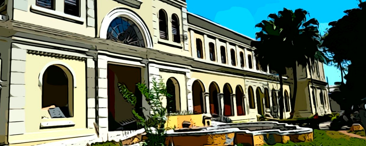 Atividade no jardim
